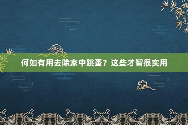 何如有用去除家中跳蚤？这些才智很实用